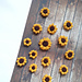 Sunflower pattern 