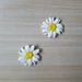 Daisy Flower pattern 