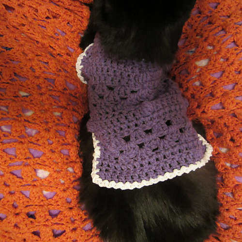 Kitty Cat or Small Dog Crochet Sweater photo 2