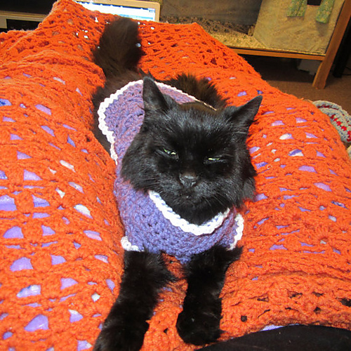 Kitty Cat or Small Dog Crochet Sweater photo 5