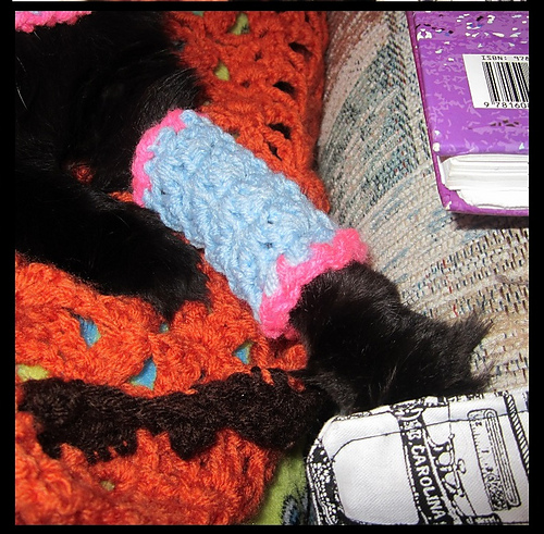 Marie Antoinette Cat Leg Warmers and Cowl photo 4