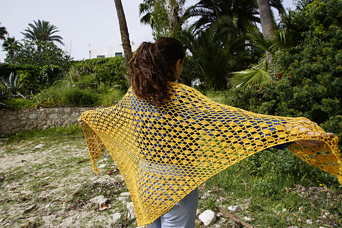 Arena Shawl