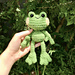 Dewey the Frog pattern 