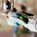Dotty Hand Warmers pattern 