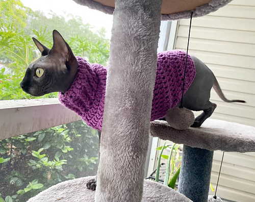 Small Cat Sweater photo 3