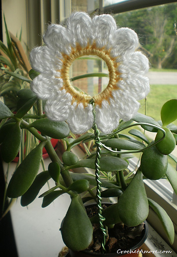 Daisy Plant Poke photo 1