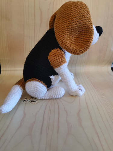 Ben Beagle Hund - Anita Mucsanyine Gyurko