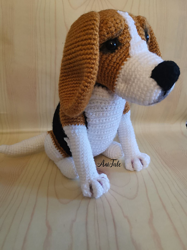 Ben Beagle Hund - Anita Mucsanyine Gyurko