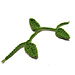 Vine pattern 