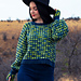 Gridlock Jumper pattern 