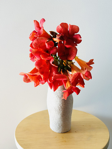 Two classic curvy vases