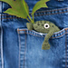 Frog pattern 