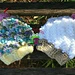 Twisted Cupcake Beanie pattern 