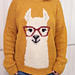 Alpaca Sweater pattern