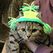 Flap Hat  for cat, dog pattern 