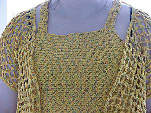 Halter with Mesh Jacket photo 4