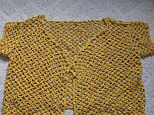Halter with Mesh Jacket photo 5