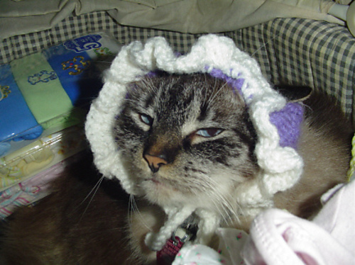 Leroy's Kitty Bonnet photo 2