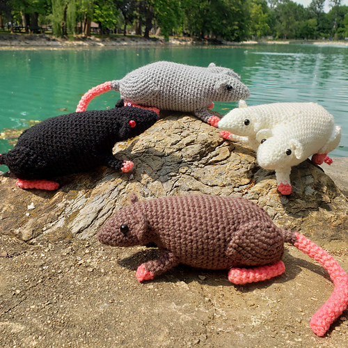 ratspic1_medium.jpg