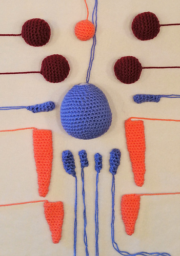 Gloom / Duflor Pokemon - Sina Vervin