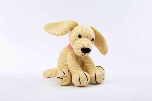 Dexter Labradoren - Amanda Berry