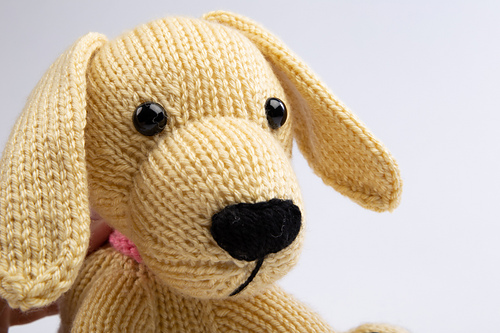 Dexter Labradoren - Amanda Berry