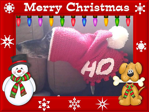 Greyhound Christmas Hat photo 3