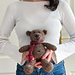 Teddy pattern 