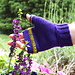 Fizzy Mitts pattern 