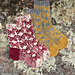 Butterfly Socks pattern 