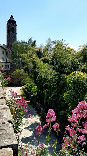 Fivizzano