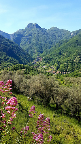 View from Monte dei Bianchi, Appenines