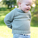 49-16 Sage Bud Sweater pattern