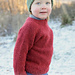 50-15 Berry Bramble Sweater pattern 
