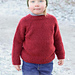 50-15 Berry Bramble Sweater pattern