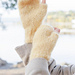 261-74 Sunny Bloom Wrist Warmers pattern 