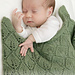 46-13 Endless Evergreen Blanket pattern 