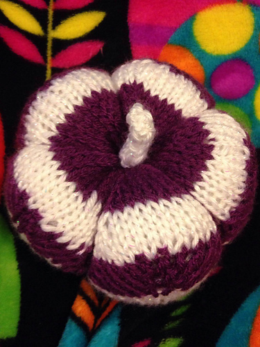 Spicy Knit Pumpkins photo 11
