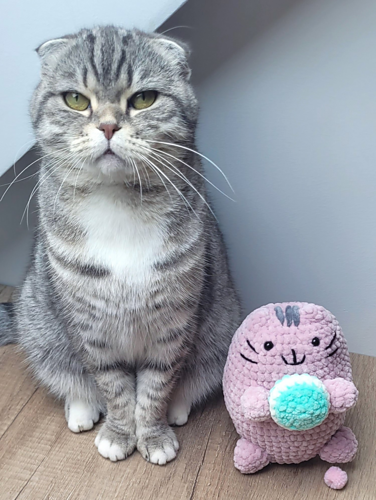 Fet Kitten Pusheen-katt med Macaron. - Olga Burkovtseva