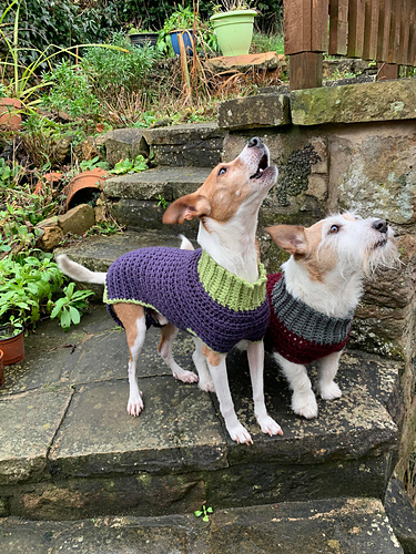 Bespoke Doggie Jumper photo 5
