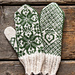 Vinterrose pattern