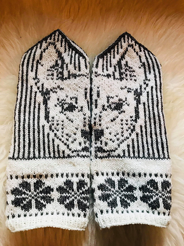 Meksikansk Nakenhund votter - Anne Berdal