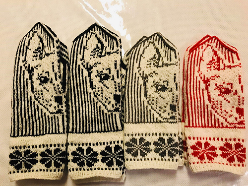 Meksikansk Nakenhund votter - Anne Berdal