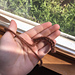 Cat toy! pattern 