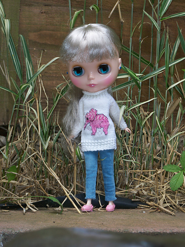 Elephant Jumper photo 1