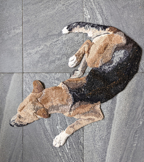 Ravelry: Emilyaoleary's Brown and black dog rug
