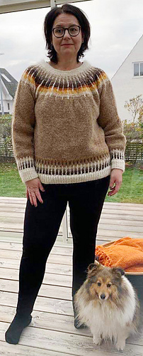 Strimma Hopp i Sheltie varianten med fin tillhörande vovve 