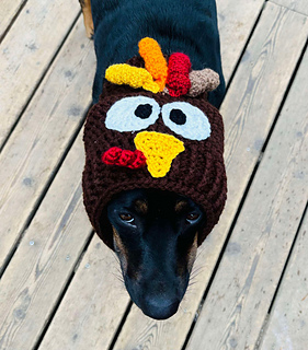 Ravelry: Turkey Dog Snood pattern by Sarah Petersen