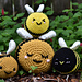 Bumblebee photo 5
