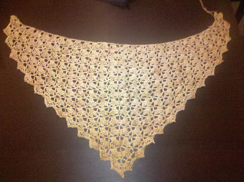 Elise Shawl photo 8